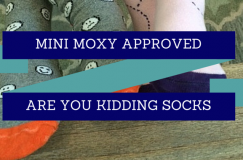 MINI MOXY